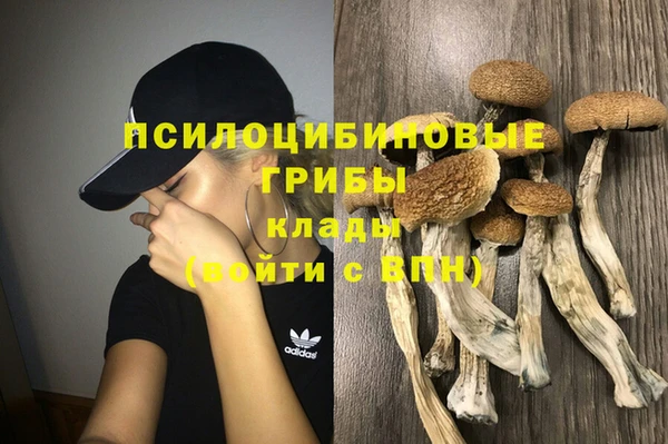 амф Верхний Тагил
