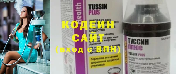 амф Верхний Тагил