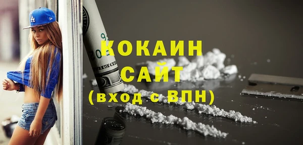 амф Верхний Тагил