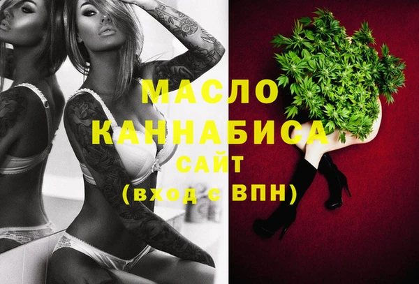 амф Верхний Тагил