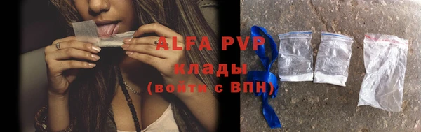 амф Верхний Тагил