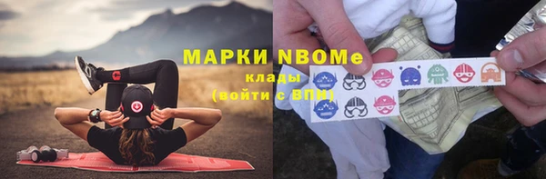амф Верхний Тагил