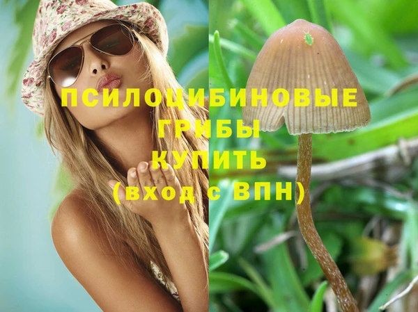 мяу мяу мука Верхнеуральск