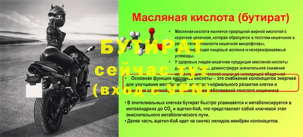 амф Верхний Тагил