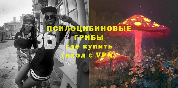 амф Верхний Тагил