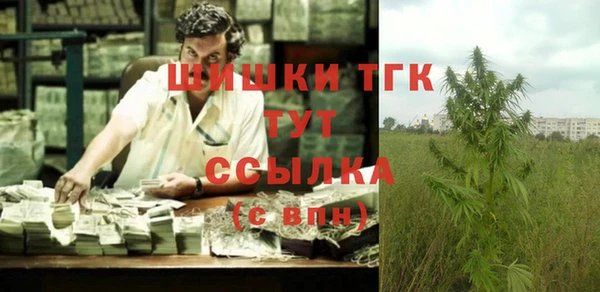 амф Верхний Тагил
