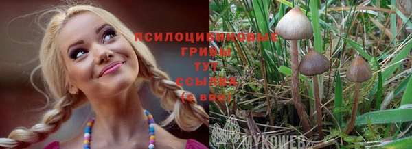 амф Верхний Тагил