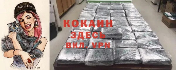 амф Верхний Тагил