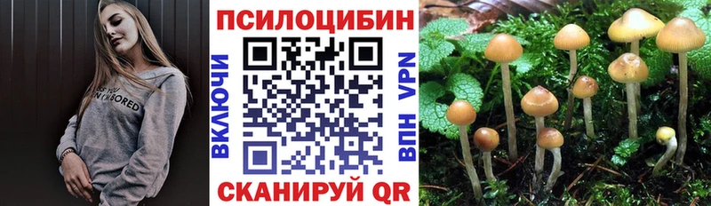 Псилоцибиновые грибы Cubensis  Нальчик 